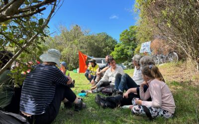 Creation Focus in Lent